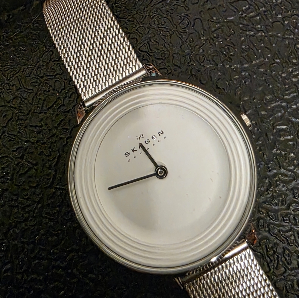 Skagen Silver Mesh Watch - Picture 1 of 5